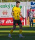 Patrik �vestka