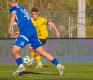 Patrik �vestka