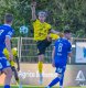 Vojt�ch Hora
