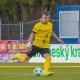Milan Pi�ko