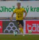 Vojt�ch Hora