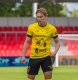 Dominik Vott
