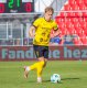 Dominik Vott