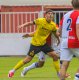 Matou� Krulich