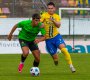 Matou� Krulich