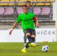 Milan Pi�ko