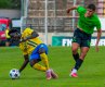Matou� Krulich