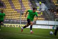Matou� Krulich