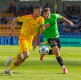 Matou� Krulich