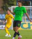 Matou� Krulich