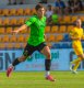 Matou� Krulich