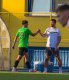 Matou� Krulich