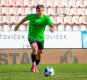 Matou� Krulich