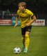 Dominik Vott