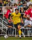 Matou� Krulich