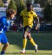 Cheick Traore