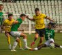 Matou� Krulich