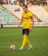 Dominik Vott