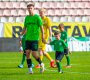 Patrik �vestka