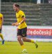Daniil Dole�ek