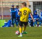 Jan Vok��nek