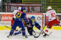 Maxa liga - 15. kolo: HC ZUBR Perov - HC Slavia Praha