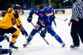 Maxa liga - 1. kolo: HC ZUBR Perov - HC Dukla Jihlava