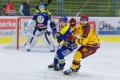 Maxa liga - 12. kolo: HC ZUBR Perov - HC Dukla Jihlava