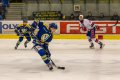Maxa liga - 22. kolo: HC ZUBR Perov - SK Horck Slavia Teb