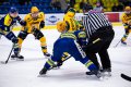Maxa liga - 29. kolo: HC ZUBR Perov - VHK ROBE Vsetn