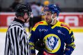 Maxa liga - 29. kolo: HC ZUBR Perov - VHK ROBE Vsetn