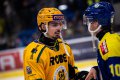 Maxa liga - 29. kolo: HC ZUBR Perov - VHK ROBE Vsetn