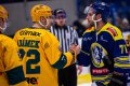 Maxa liga - 29. kolo: HC ZUBR Perov - VHK ROBE Vsetn