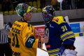 Maxa liga - 29. kolo: HC ZUBR Perov - VHK ROBE Vsetn