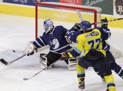 Zubry ek ve stedu nejlep tm poslednch tdn 