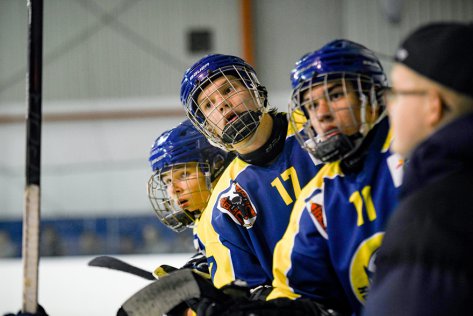 Dorostenci v prvnm zpase na tripu neuspli, s Litvnovem prohrli o tyi branky