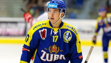 Moc to neletlo. Nkdo ale ped brankem pejel a puk tam spadl, usmval se Gazda