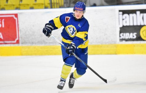 Junio�i: Bodov� s�rie proti Vset�nu skon�ila, ze t�et�ho z�pasu vy�li Zub�i napr�zdno