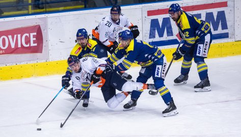 Zpas hned zkraje novho tdne: Zubi ve sttn svtek pocestuj do Litomic