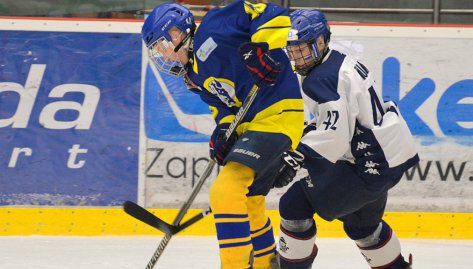 Star ci na MR potet spn, vhra nad Plzn zajistila Zubrm medailov zisk!