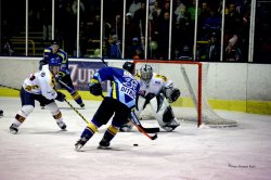 Perovt Zubi potvrt v ad doma nebodovali